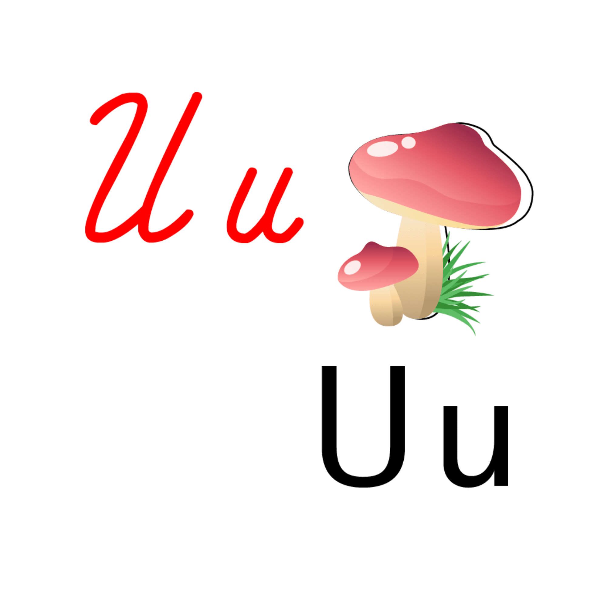 Armenian Alphabet Poster Cards for Classrooms - Educational Wall Decor - Educational Materials - Armenian Kids Club