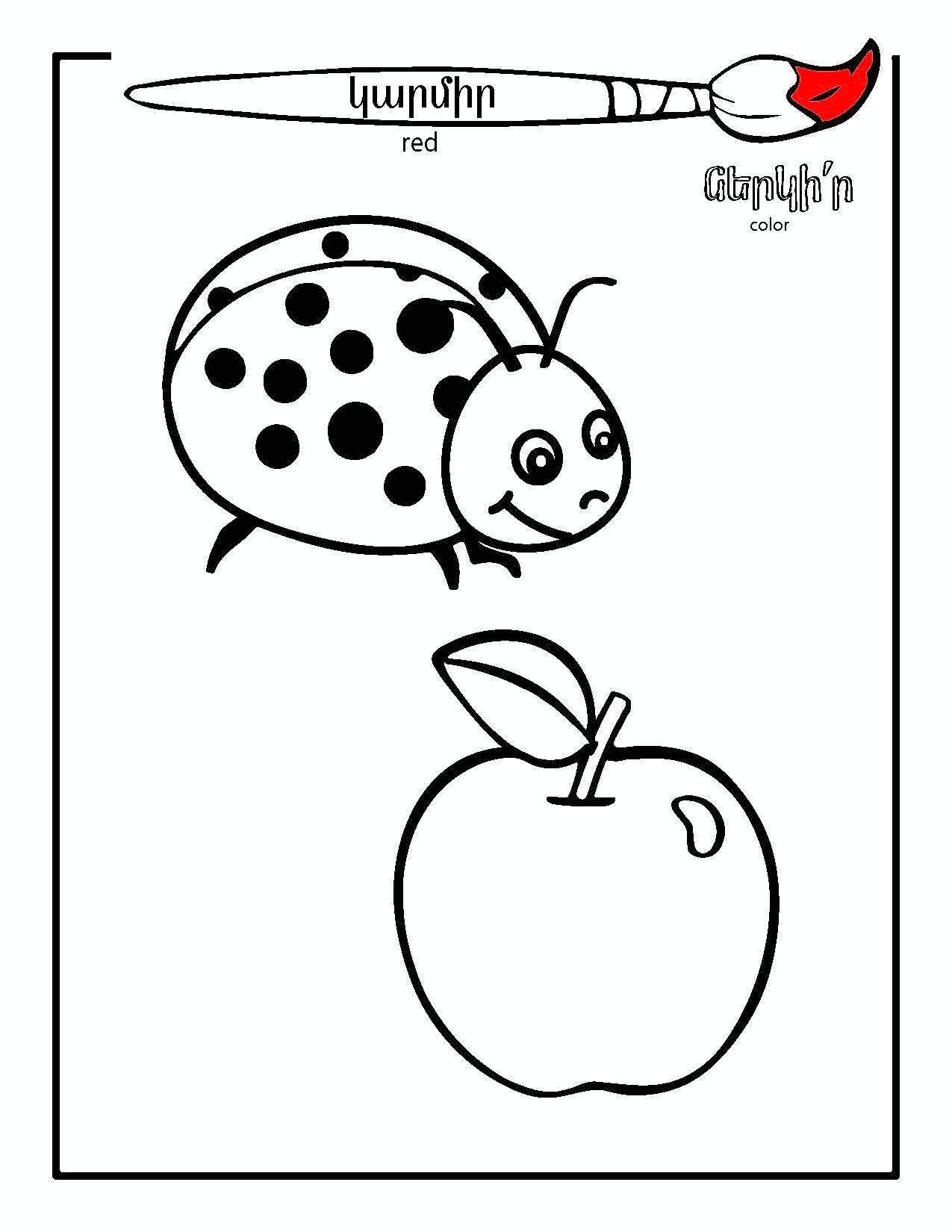 Colors & Shapes - Armenian Kids Club