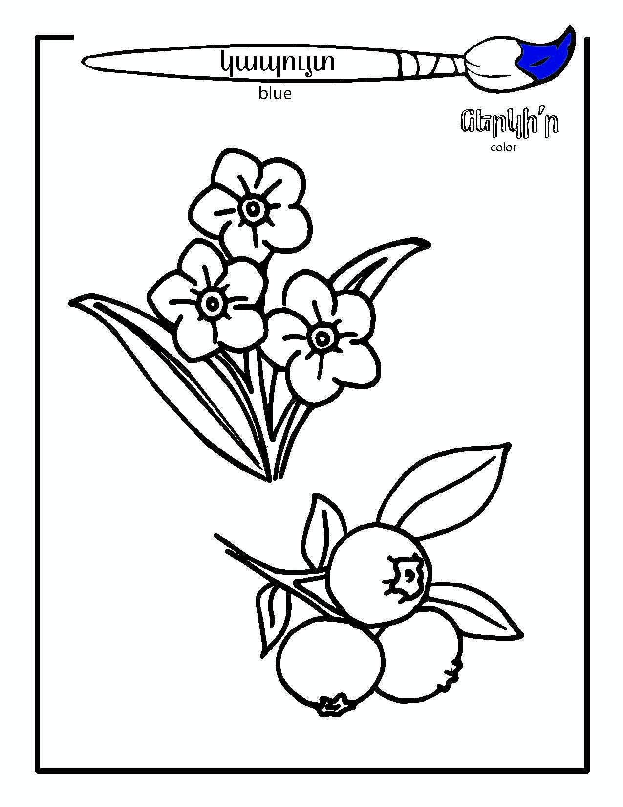 Colors & Shapes - Armenian Kids Club