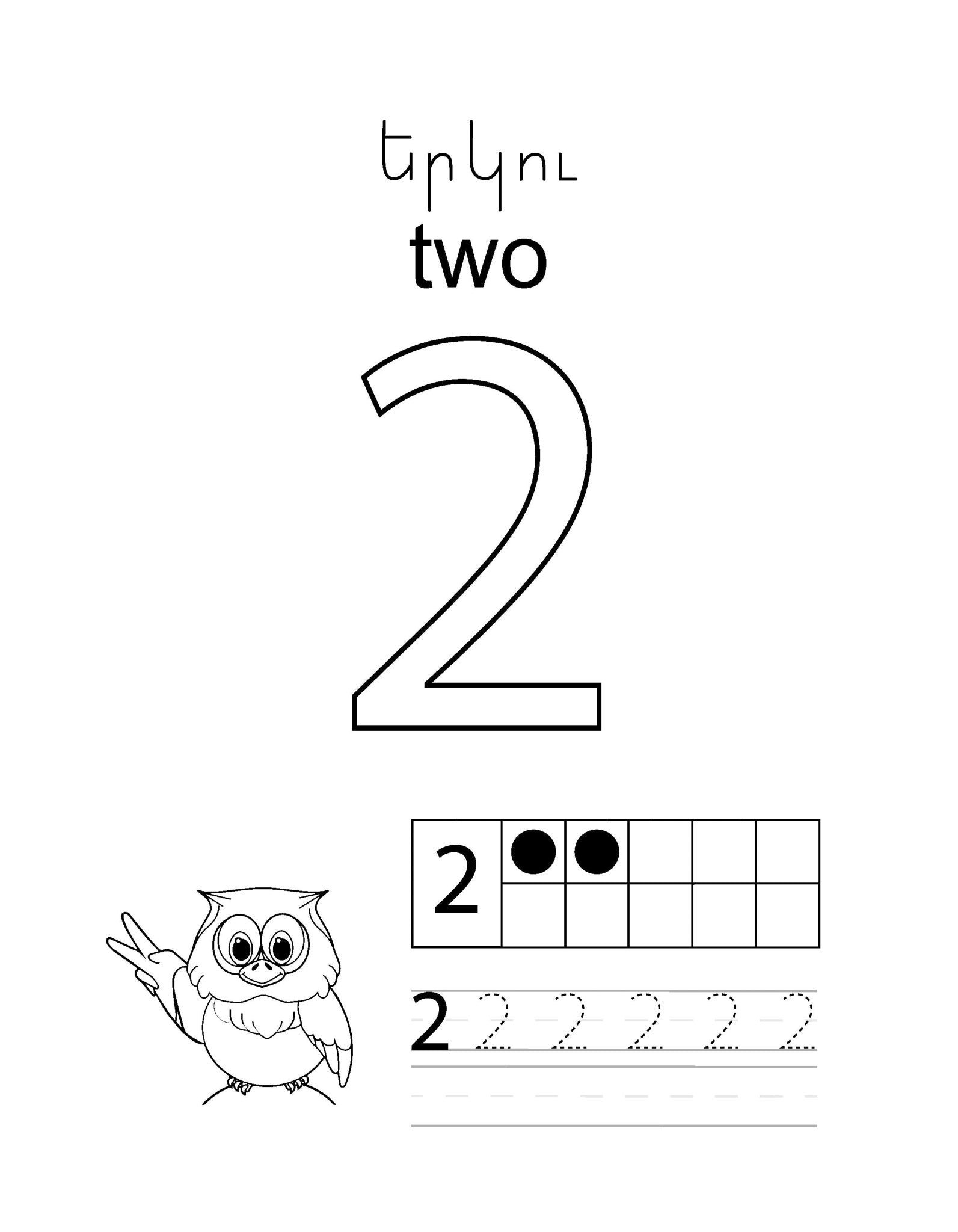 Learn The Numbers 1-20 Level 1 - Workbook - Armenian Kids Club