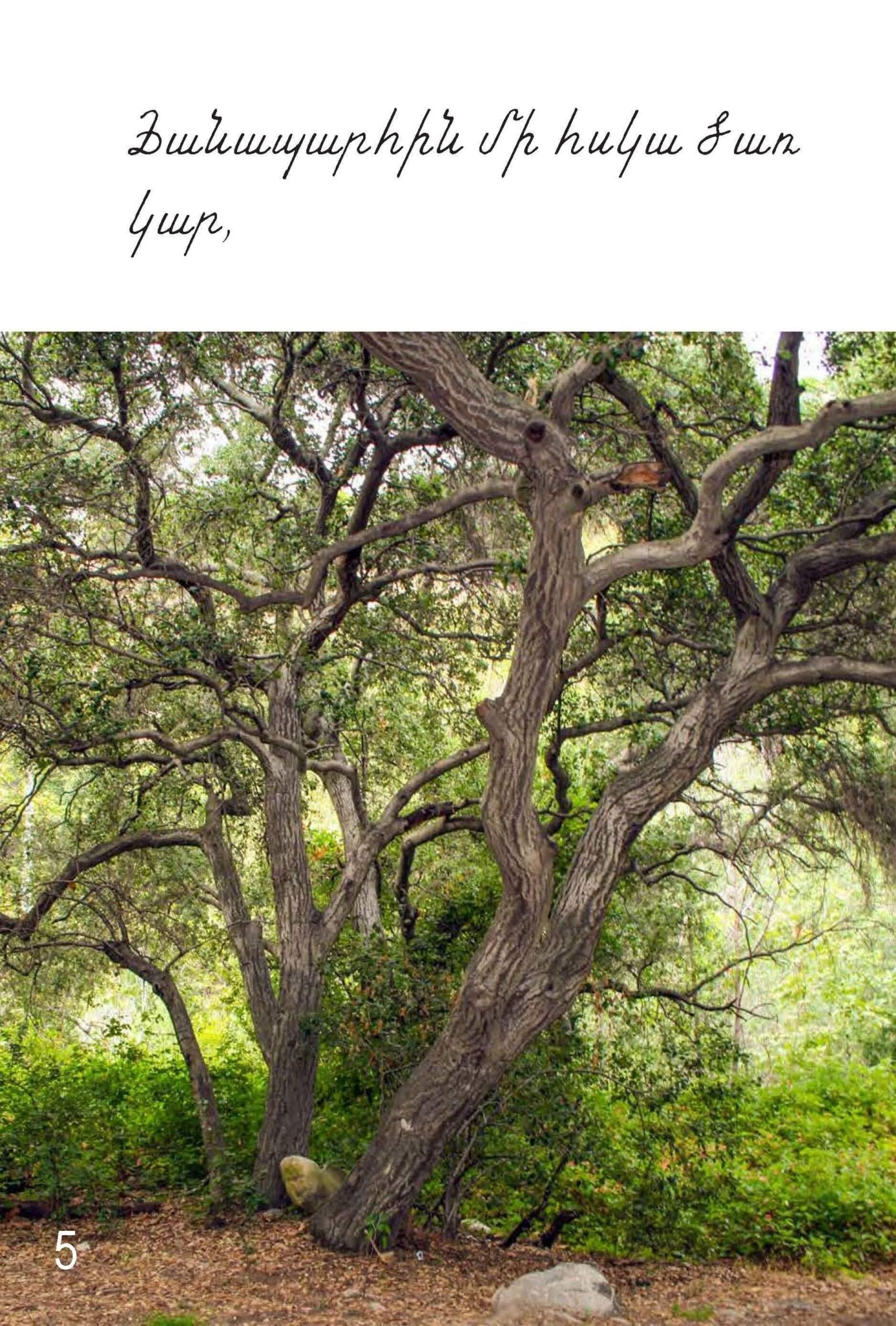 A Walk With My Dad: Armenian Children's Reading Book - Early Reading Book - Armenian Kids Club