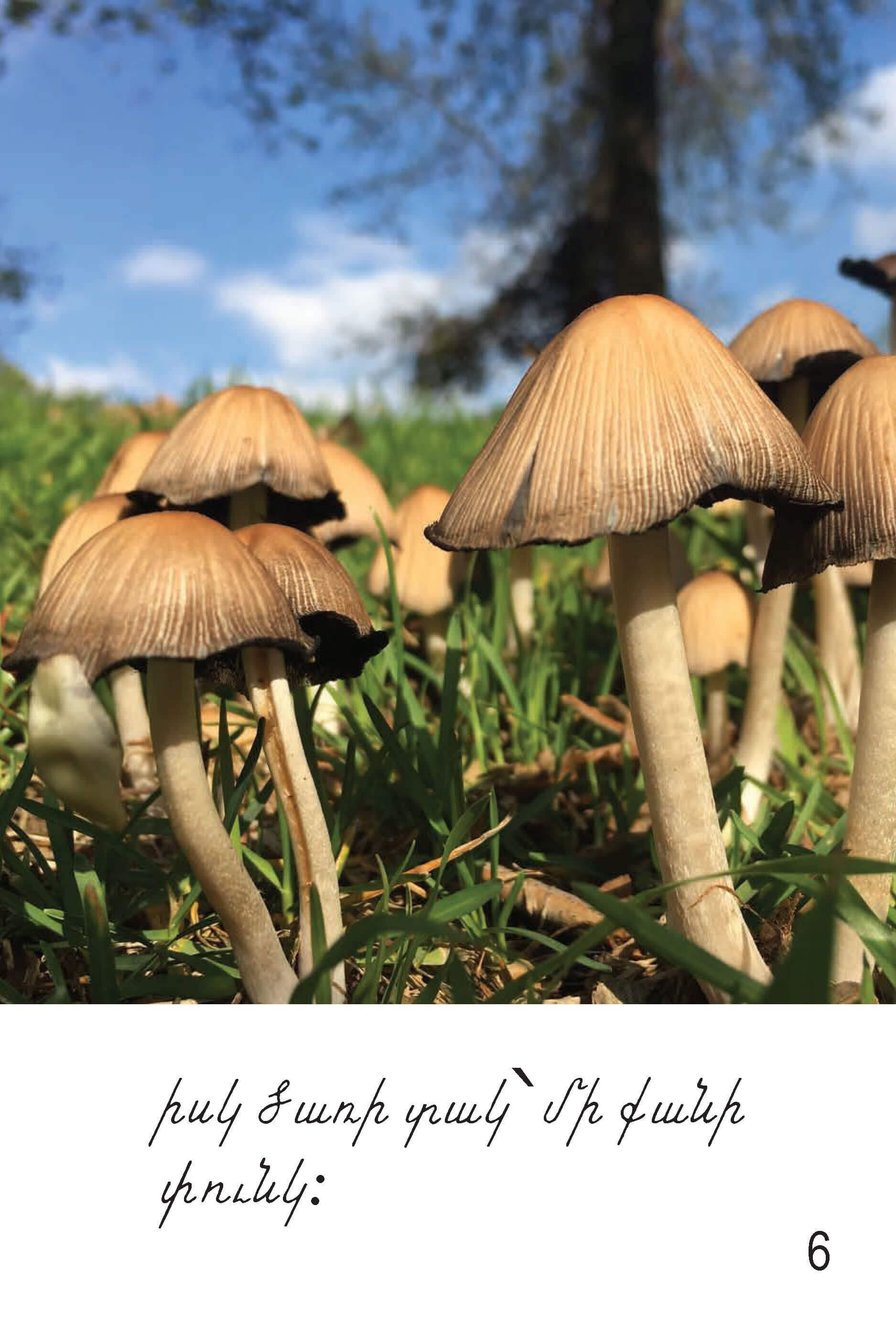 A Walk With My Dad: Armenian Children's Reading Book - Early Reading Book - Armenian Kids Club